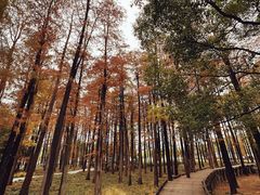 -月湖风景区