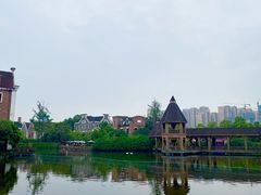 -成都南湖公园