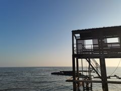 -合肥滨湖国家森林公园