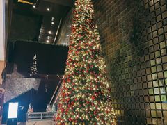 -北京康莱德酒店