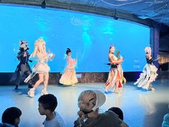 -海合安成都极地海洋公园