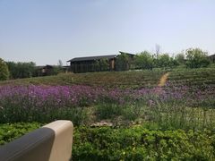 -中国天府农业博览园