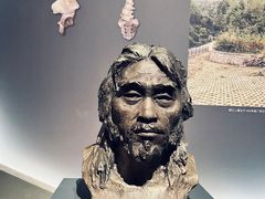 -广西壮族自治区博物馆