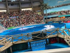 -海合安成都极地海洋公园