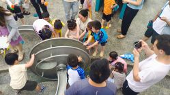 点击看大图 -季高兔窝窝亲子园(上海薰衣草公园店)