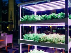 -佰园全日西餐厅-厦门佰翔软件园酒店