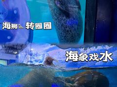 -正佳极地海洋世界