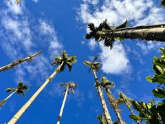 -海南热带雨林国家公园吊罗山景区