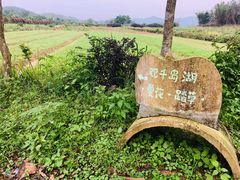 -台山川岛旅游度假区