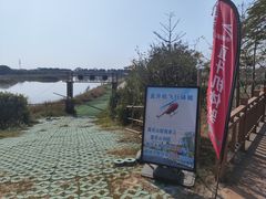 -海鸥岛