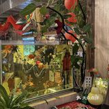 汕头预制圣诞|！敲适合二人食的圣诞韩式餐厅🍴