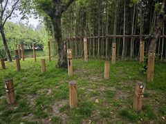 -长兴太湖图影湿地文化园