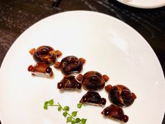 -甄御•海鲜新青岛菜(麦岛店)