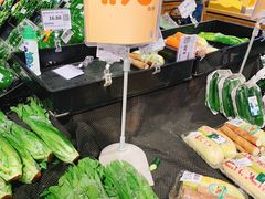 -坂田天虹