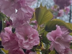 -星巴克臻选(南京艾尚天地店)