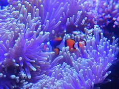 -太平洋海底世界