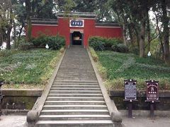 -子昂故里文化旅游区