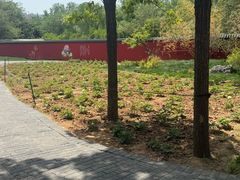 -洛阳市隋唐城遗址植物园