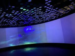 -同济大学四平路校区深海探索馆