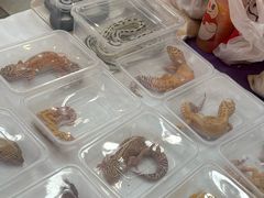 -鹏欣水游城