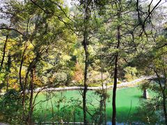 -南岳衡山风景名胜区-南岳大庙
