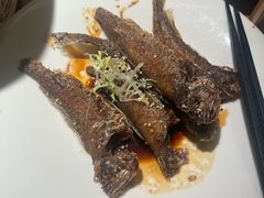 -佬肥猫(七宝宝龙店)