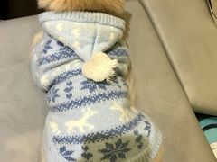 -小时光咖啡馆(开森度假森林店)