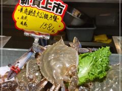 -渔娘渔家丹东海鲜(东直门店)