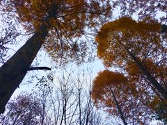 -洛阳白云山景区