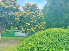 -永定河休闲森林公园