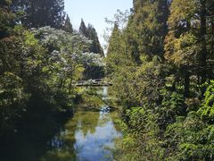 -黄海国家森林公园