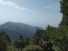 -梧桐山风景名胜区