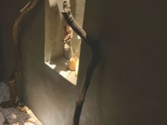 -森SPA·泰式按摩·精油Massage(宝安中心店)