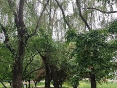 -元大都城垣遗址公园