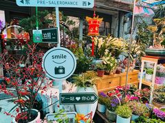 -武汉花鸟市场