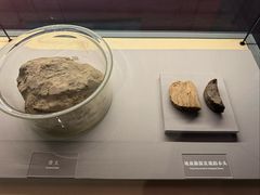 -北京大葆台遗址博物馆