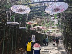 -苏州太湖国家湿地公园