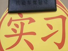 -鹏城驾校·学车·陪驾(宝安店)