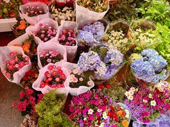 -循礼门鲜花花市(武汉循礼门店)