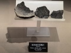 -河姆渡遗址博物馆