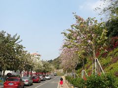 -小南山公园