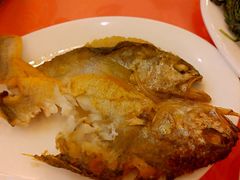 -深运潮州粥(东门店)