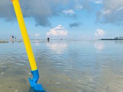 -北海金海湾红树林生态旅游区