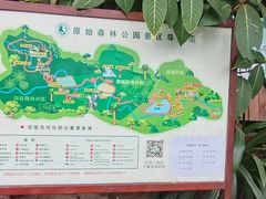 -西双版纳原始森林公园