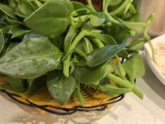 -钦善斋·养生膳食·精典川菜(武侯祠店)