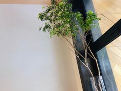 -森Some Fusion(荔湾店)