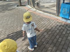 -石家庄市动物园