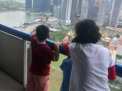 -新加坡瑞士史丹福酒店