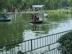 -渭滨公园