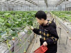 -三圣花乡旅游区